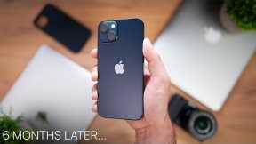 iPhone 13 in 2022 一 Worth waiting for iPhone 14? / Long Term Review