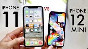 iPhone 12 Mini Vs iPhone 11! (Comparison) (Review)