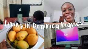 LIFE IN DOMINICA | Unboxing Apple iMac 24-Inch & Studio Monitors, Grilling Suya Peppered Chicken,etc