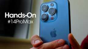 iPhone 14 Pro Max - EXCLUSIVE HANDS ON ||