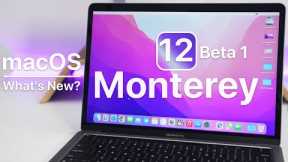 macOS 12 Monterey Beta 1 is Out! - What's New?