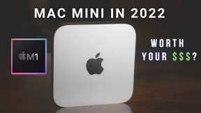 Is the M1 Mac Mini Still Worth your Money in 2022 ? Then How?
