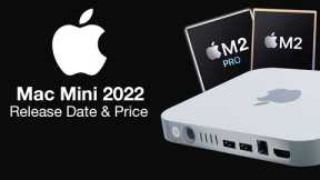 Mac Mini 2022 Release Date and Price – NO NEW DESIGN!!