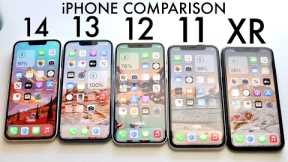 iPhone 14 Vs iPhone 13 Vs iPhone 12 Vs iPhone 11 Vs iPhone XR! (Comparison) (Review)