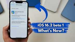 iOS 16.2 Beta 1 Released | What's New?