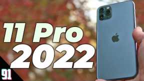 iPhone 11 Pro in 2022 - worth it? (Review)