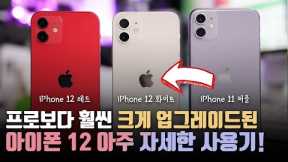 역대급 판매량인 이유? 애플 아이폰 12 아주 자세한 사용기! + 아이폰 11과 달라진 점 비교