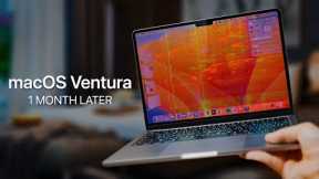 macOS Ventura on M2 MacBook Air — LONG TERM REVIEW