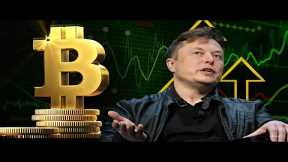 Tesla CEO Elon Musk Calls Out FRAUD On Kevin O'Leary And Sam Bankman Fried!