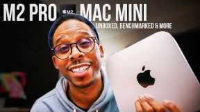 The M2 Pro Mac mini is more POWERFUL than you think! But...