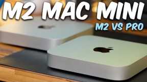 DON'T BUY The WRONG M2 Mac Mini...HERE'S WHY!