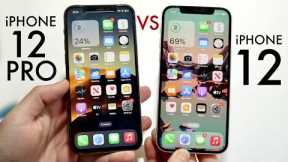 iPhone 12 Vs iPhone 12 Pro In 2023! (Comparison) (Review)