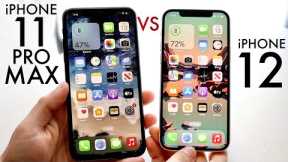 iPhone 11 Pro Max Vs iPhone 12 In 2023! (Comparison) (Review)