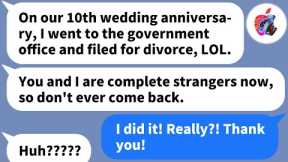 【Apple】My husband divorced me on our 10th anniversary. He didn't expect me to be so happy though!