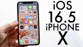 iOS 16.5 On iPhone X! (Review)
