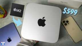 Base M2 Mac Mini Unboxing & First Impressions! Great Pricing!