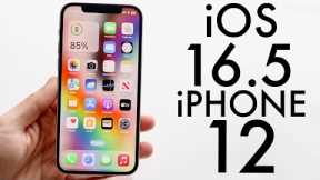 iOS 16.5 On iPhone 12! (Review)