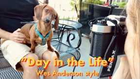 Day in the life of a mini dachshund (Wes Anderson style)