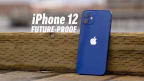 iPhone 12 Honest Review After 2 Weeks - Only 1 Issue..