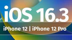 How to Update iPhone 12, iPhone 12 mini, iPhone 12 Pro, iPhone 12 Pro Max to iOS 16.3