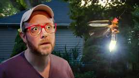 Let's Talk About American Fireflies (Lightning Bugs)