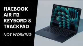 Fixing MacBook Air M2 2022: Trackpad & Keyboard Not Responding | MacBook Air M2 | iexpert