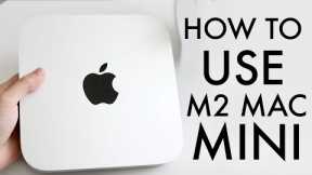 How To Use M2 Mac Mini! (Complete Beginners Guide)