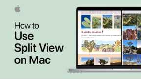 How to use Split View on Mac | Apple Support