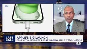 Long-term Apple is the most over-valued large cap tech stock out there, says Satori Fund's Dan Niles