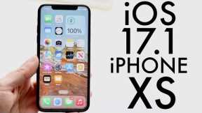 iOS 17.1 On iPhone XS! (Review)