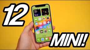 REVIEW IPHONE 12 MINI DI TAHUN 2023! Yakin Mau Beli?