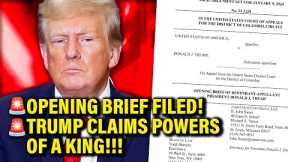 Trump Files PERPLEXINGLY BAD Opening APPEAL Brief