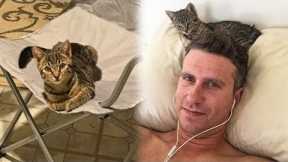 Stray Kitten Sneaks Into a Home To Adopt a Man Living There