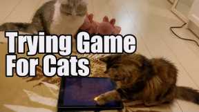Trying game for cats