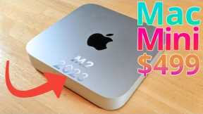 Why I bought a $499 M2 Mac Mini, and you should too!