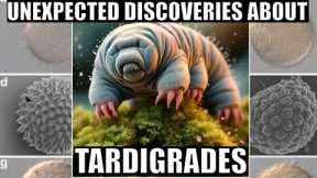 Unbelievable Discoveries About Tardigrades From The Last Few Months