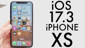 iOS 17.3 On iPhone XS! (Review)