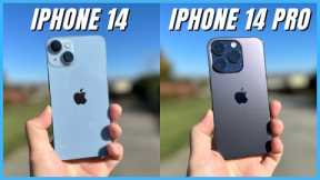 iPhone 14 vs iPhone 14 Pro Camera Comparison: What's the difference?