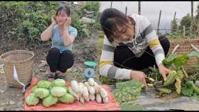 Harvest agricultural products at the end of the season sell them at the market