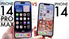 iPhone 14 Vs iPhone 14 Pro Max In 2024! (Comparison) (Review)