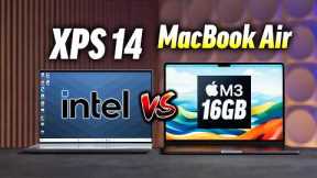 XPS 14 vs MacBook Air M3 - Best Premium Laptop in 2024?!