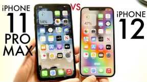 iPhone 11 Pro Max Vs iPhone 12 In 2024! (Comparison) (Review)