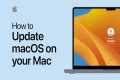 How to update macOS on your Mac |