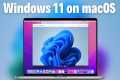 How to Install Windows 11 on MacBook
