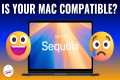 macOS Sequoia Compatibility! 2 MACS