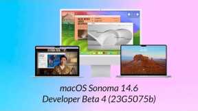 macOS Sonoma 14.6 Developer Beta 4