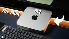 M2 Mac Mini: One Year Later!