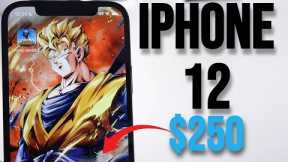 iPhone 12 In Mid 2024! This Is The Best iPhone You Can Buy On A Budget! (Now $250)