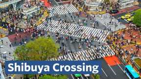 Why is Shibuya Crossing the Busiest in the World?