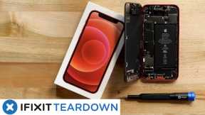 iPhone 12 mini Teardown: iPhone 12… But mini